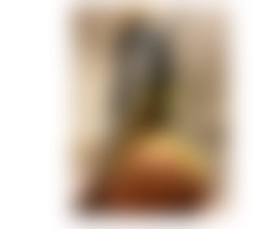 Trans Escorts Nottinghamshire Nottingham - Photos for New latín girl in Your city chocolate brown